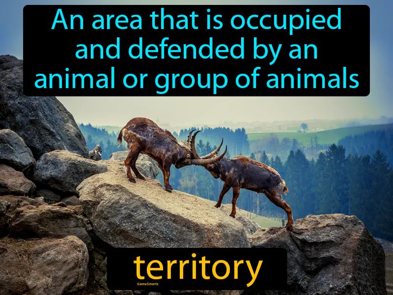 Territory Definition Territory Definition