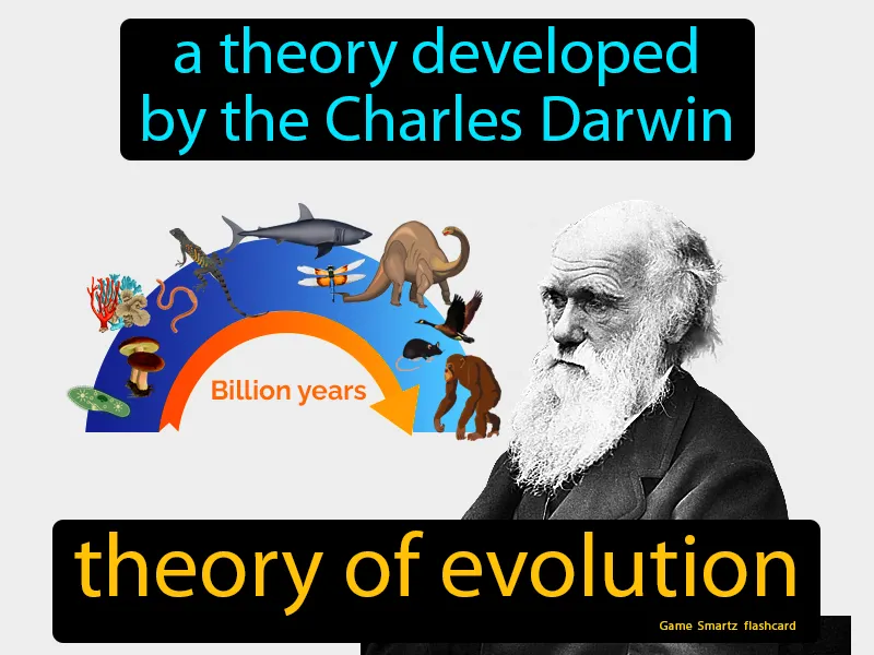 Theory Of Evolution Definition Theory Of Evolution Definition