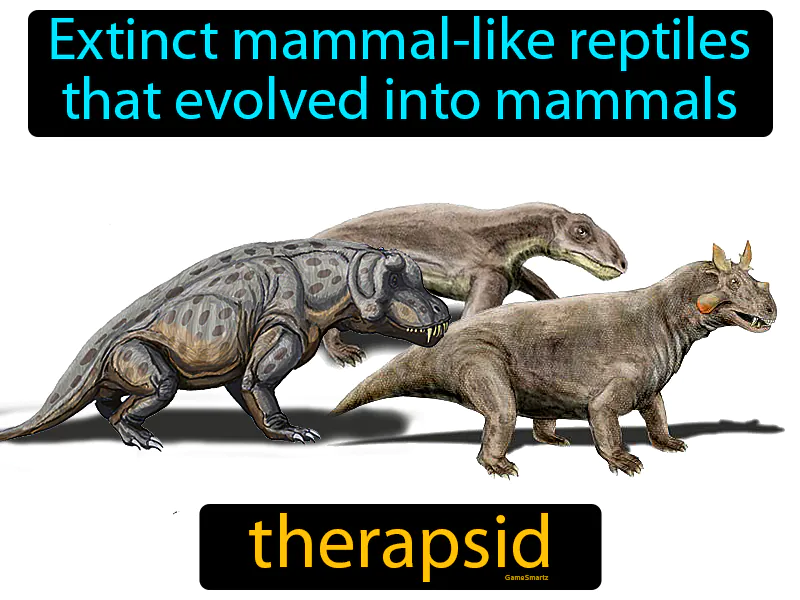 Therapsid Definition Therapsid Definition