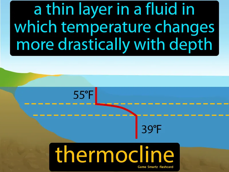 Thermocline Definition Thermocline Definition