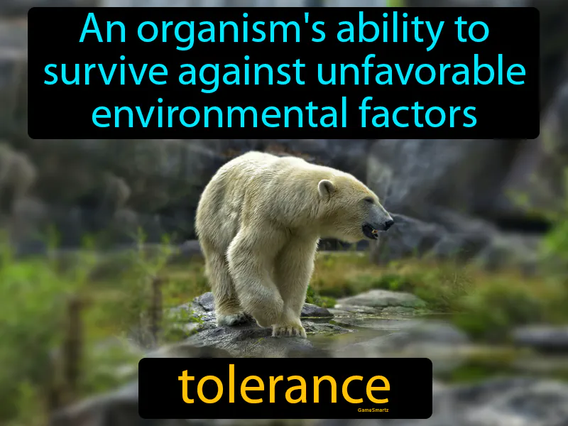 Tolerance Definition Tolerance Definition