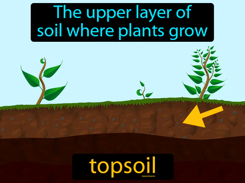 Topsoil Definition Topsoil Definition