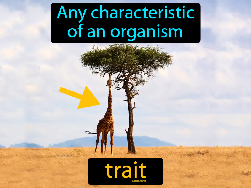 Trait Definition Trait Definition