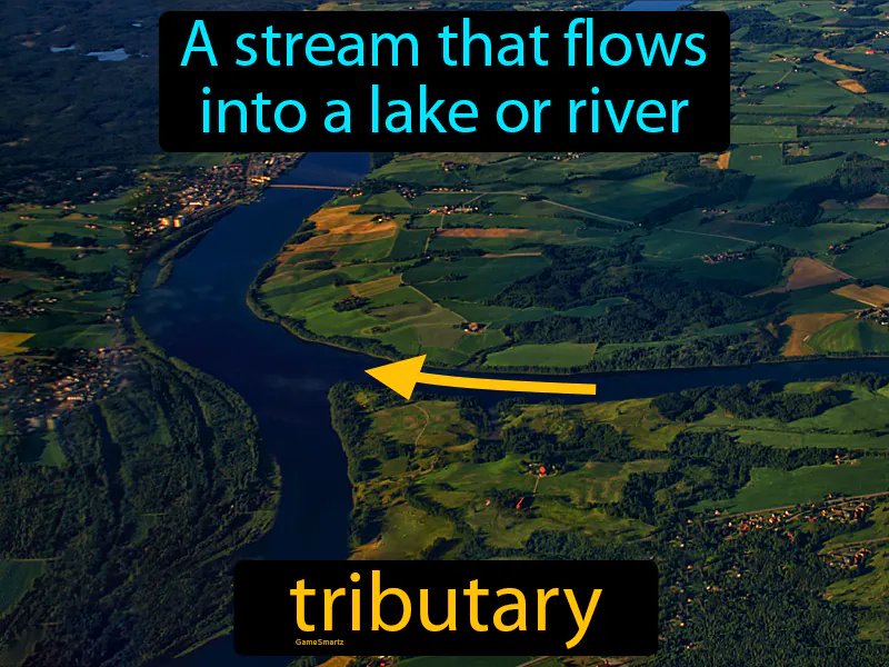 Tributary Definition Tributary Definition
