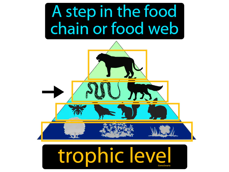 Trophic Level Definition Trophic Level Definition