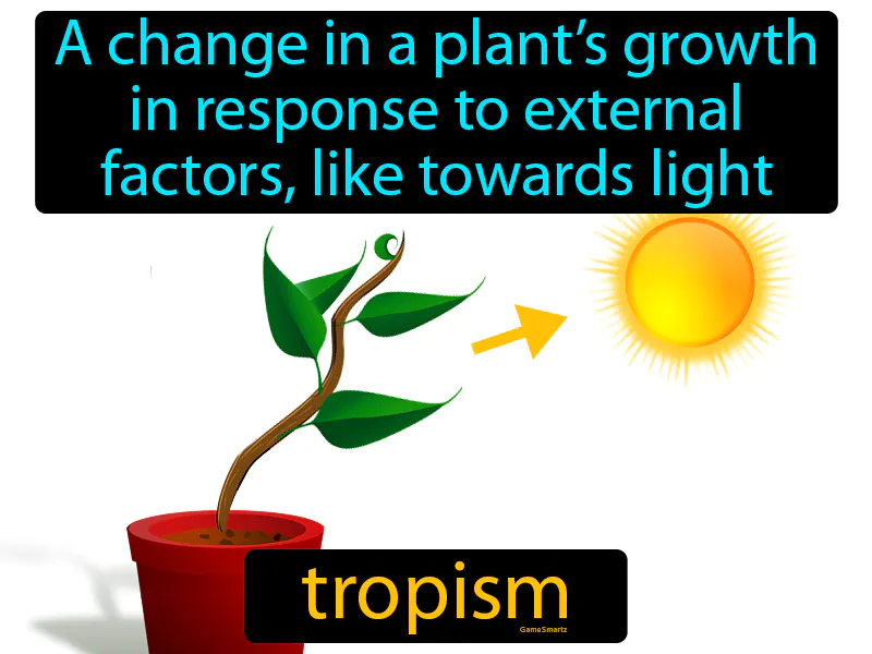 Tropism Definition Tropism Definition