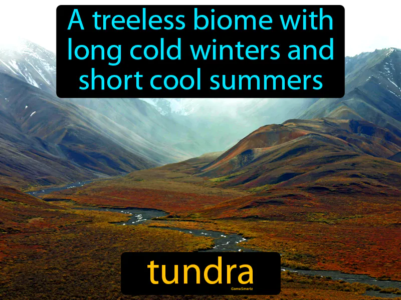 Tundra Definition Tundra Definition