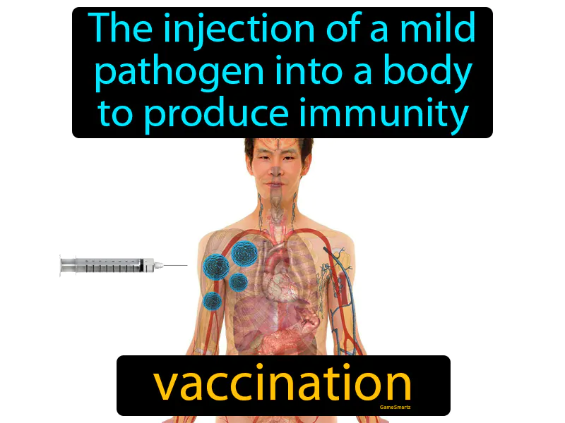 Vaccination Definition Vaccination Definition