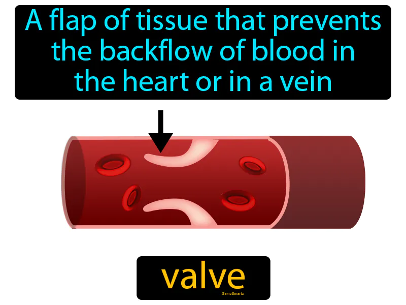 Valve Definition Valve Definition