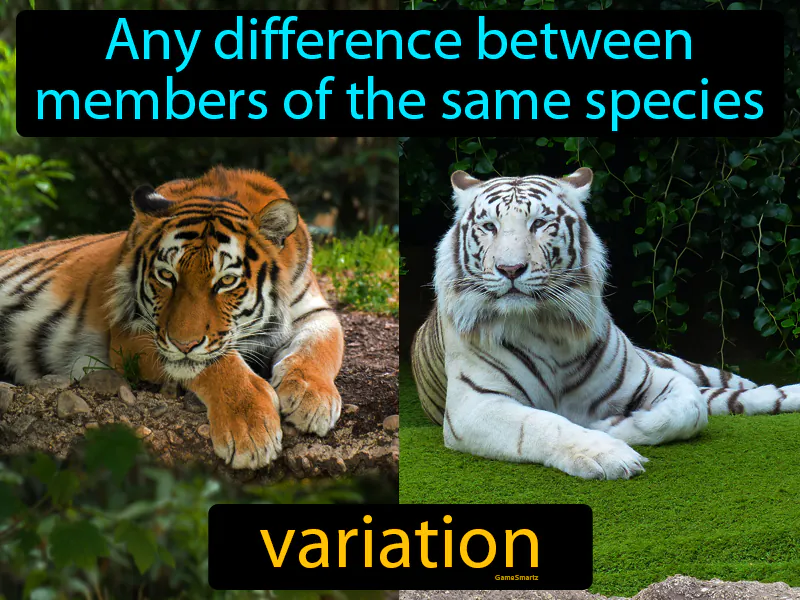Variation Definition Variation Definition