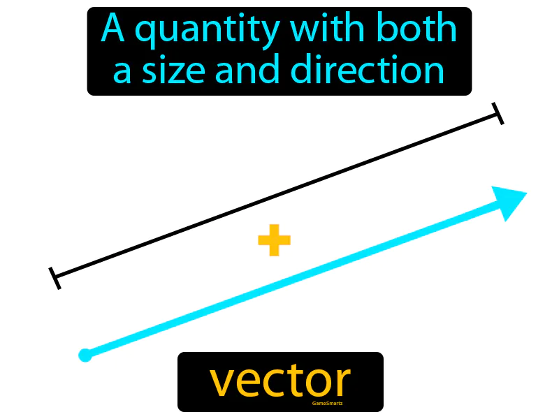 Vector Definition Vector Definition
