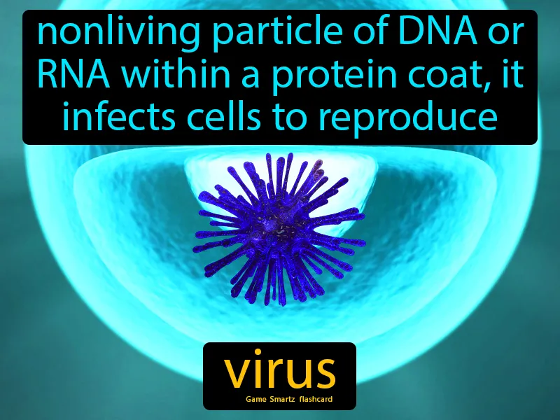 Virus Definition Virus Definition