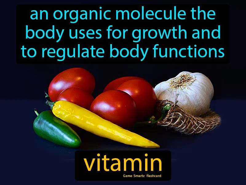 Vitamin Definition Vitamin Definition
