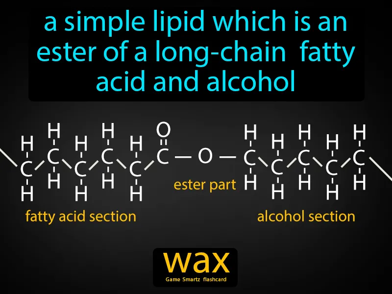 Wax Definition Wax Definition