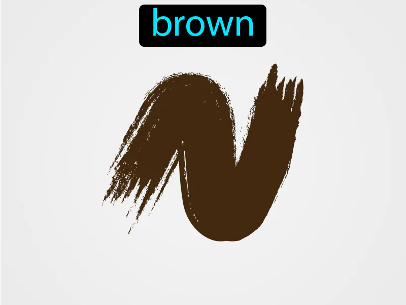 De Color Marron Definition De Color Marron Definition