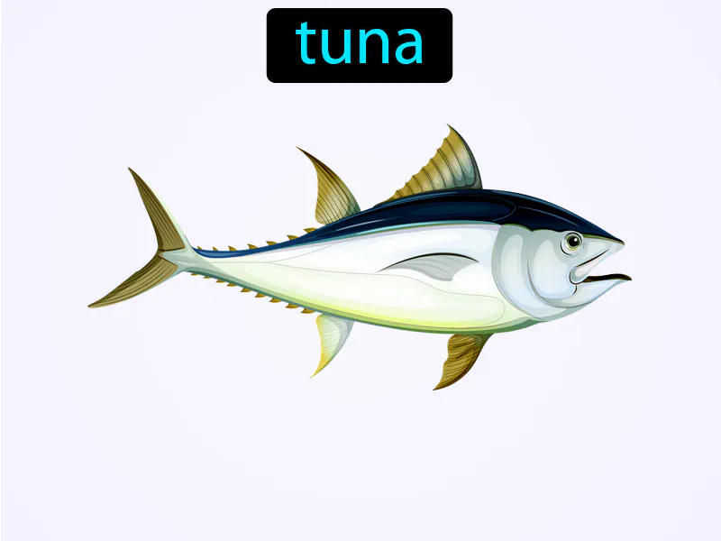 El Atun Definition El Atun Definition