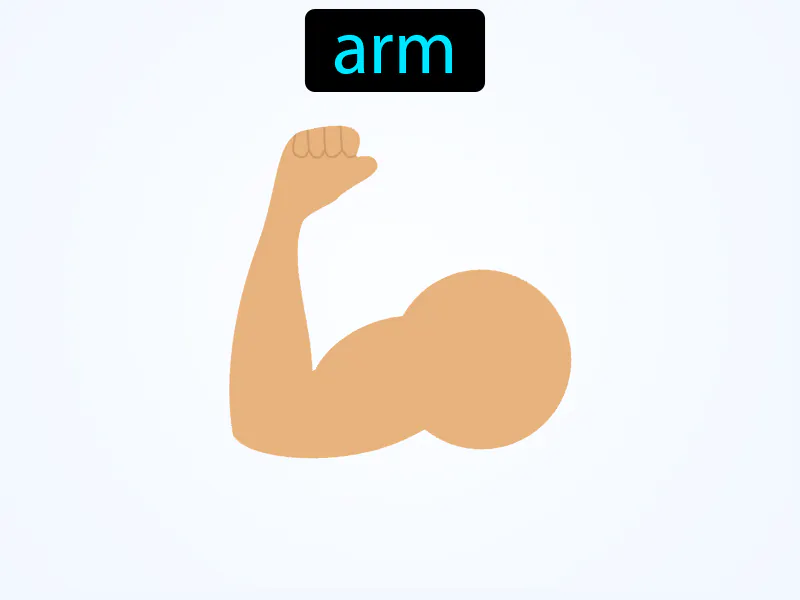 El Brazo Definition El Brazo Definition