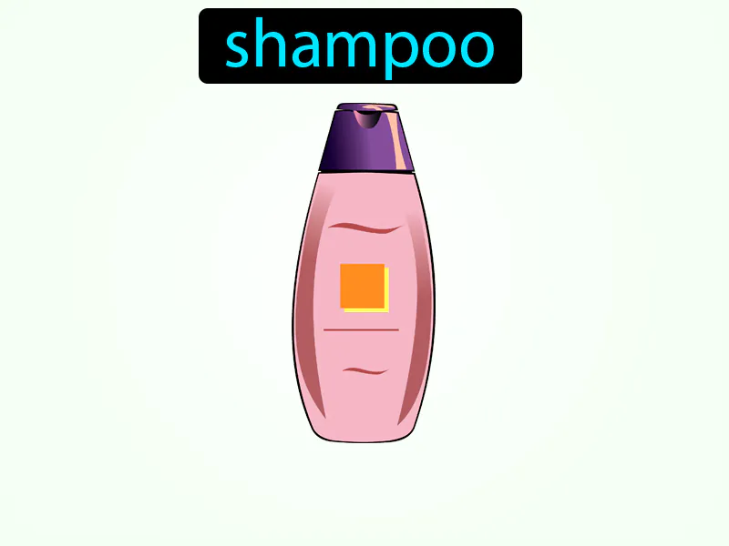 El Champu Definition El Champu Definition