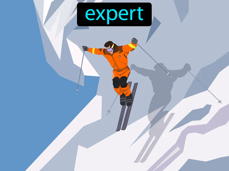 El Experto Definition El Experto Definition