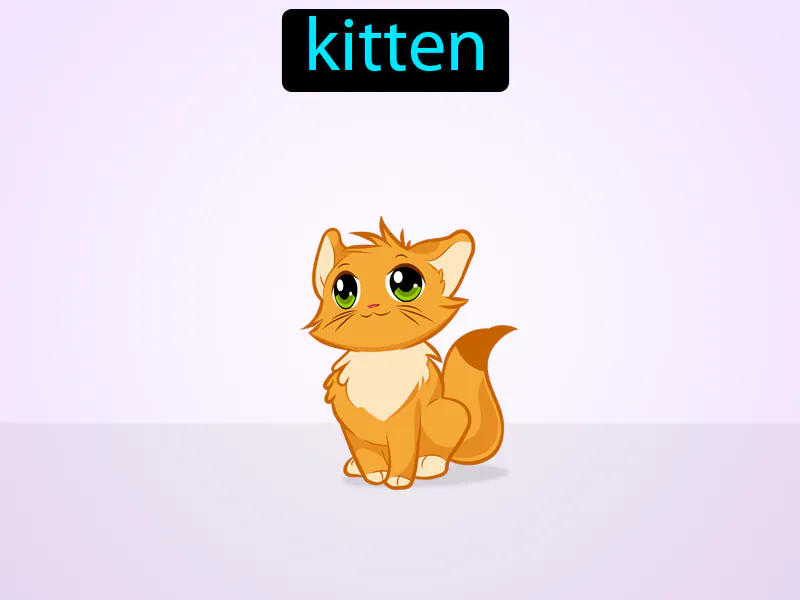 El Gatito Definition El Gatito Definition