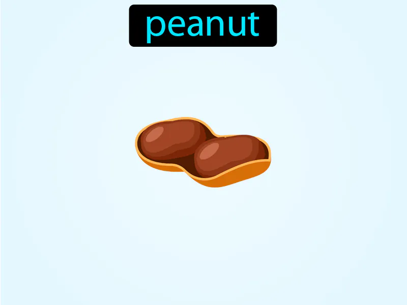 El Mani Definition El Mani Definition