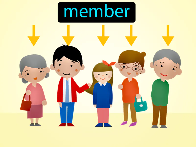 El Miembro Definition El Miembro Definition