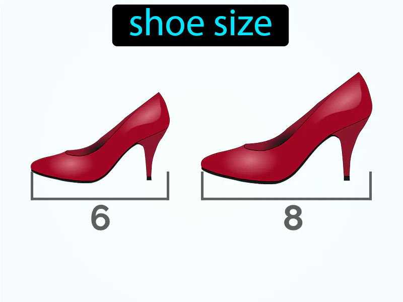 El Numero Definition El Numero Definition