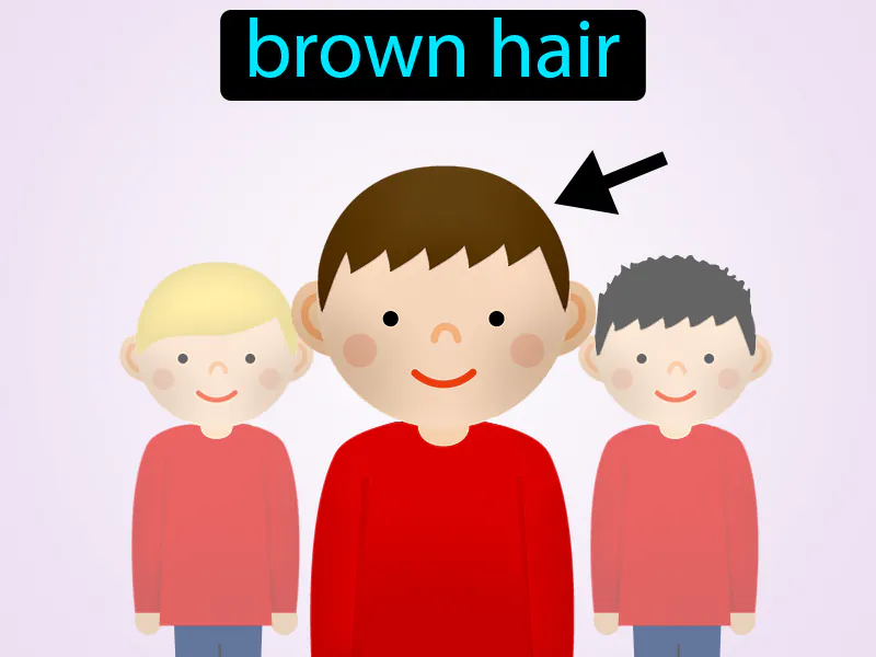 El Pelo Castano Definition El Pelo Castano Definition