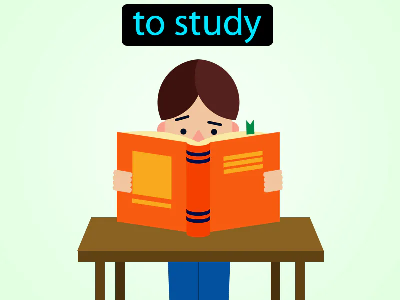 Estudiar Definition Estudiar Definition