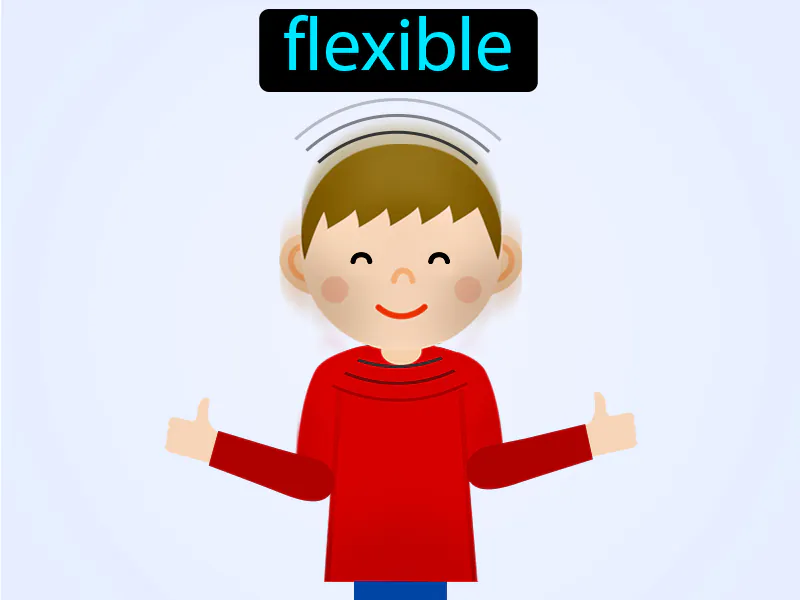 Flexible Definition Flexible Definition