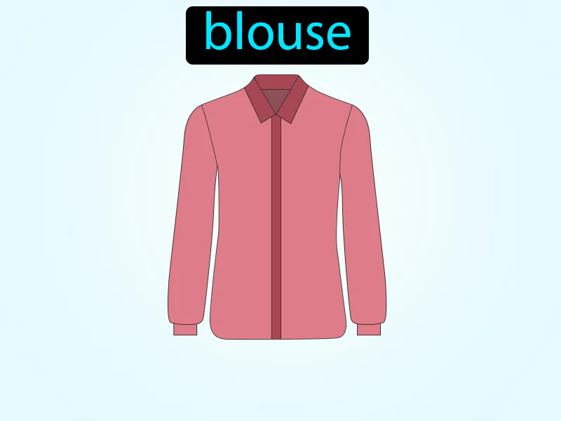 La Blusa Definition La Blusa Definition