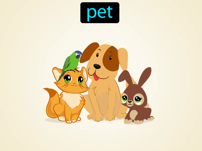 La Mascota Definition La Mascota Definition