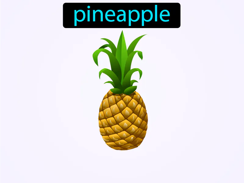 La Pina Definition La Pina Definition