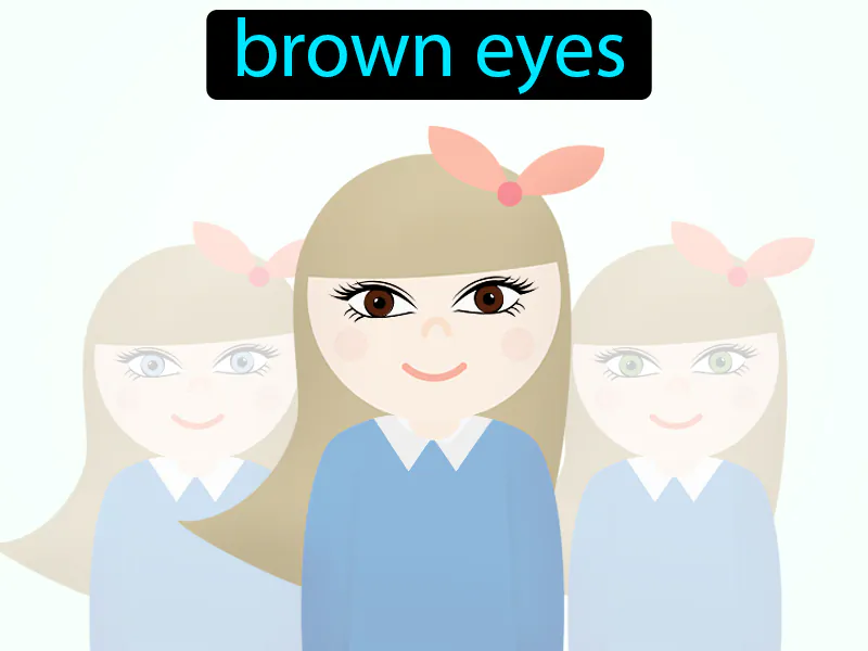 Los Ojos Castanos Definition Los Ojos Castanos Definition