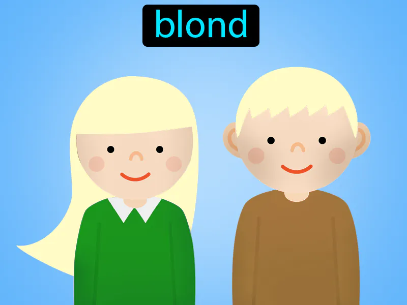 Rubio Definition Rubio Definition