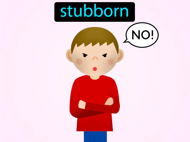 Terco Definition Terco Definition