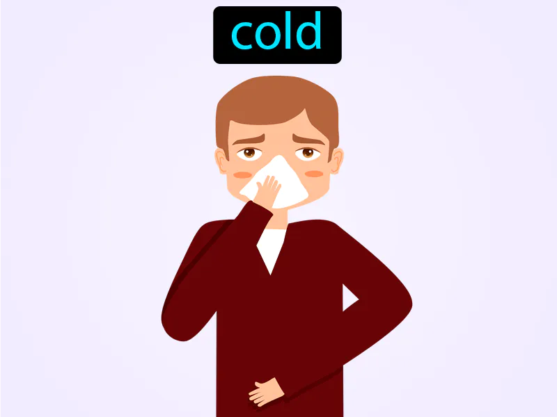 Un Catarro Definition Un Catarro Definition