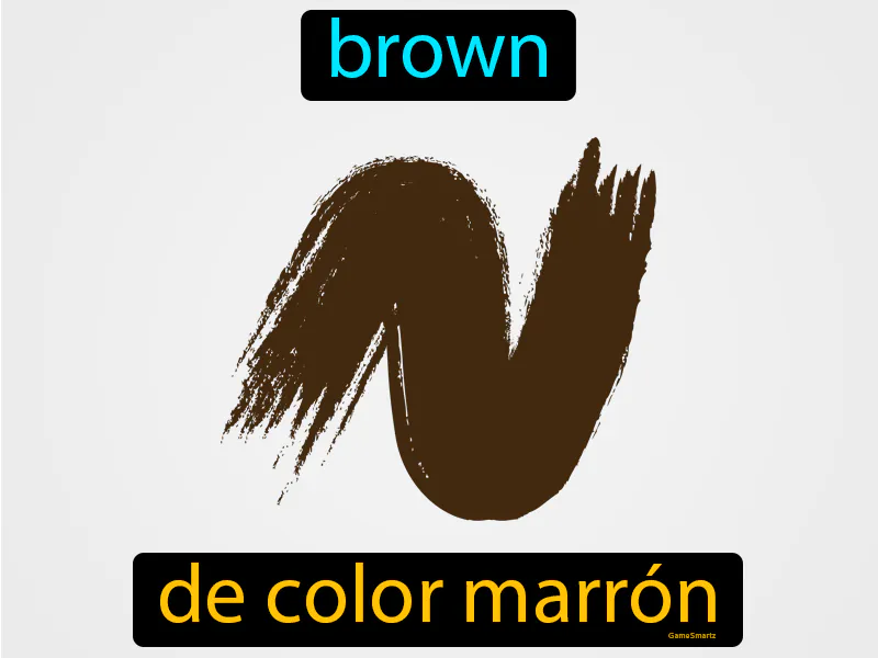 De Color Marron Definition De Color Marron Definition