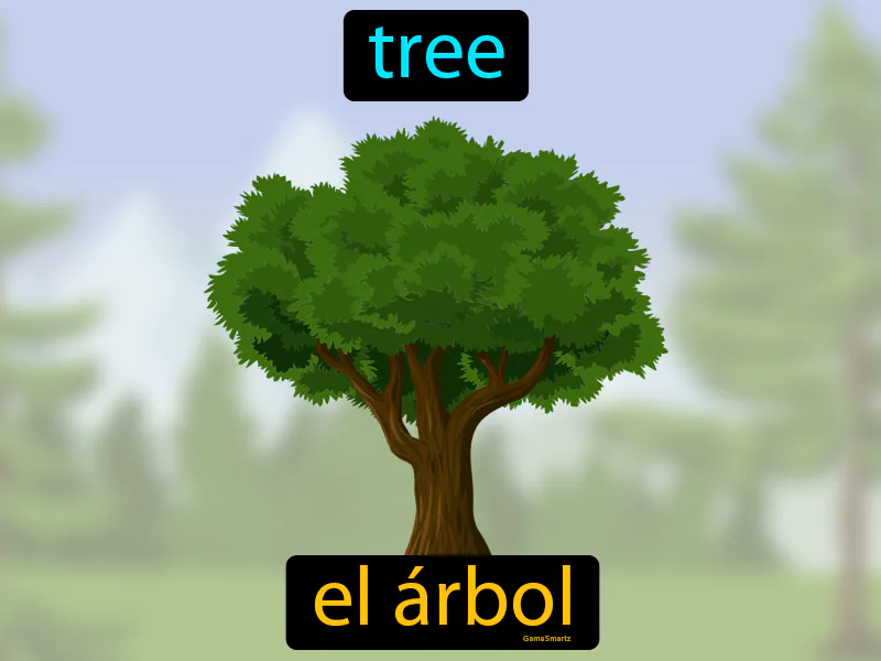 El Arbol Definition El Arbol Definition