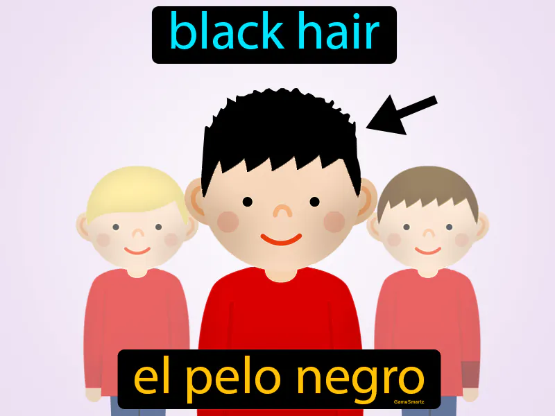 El Pelo Negro Definition El Pelo Negro Definition