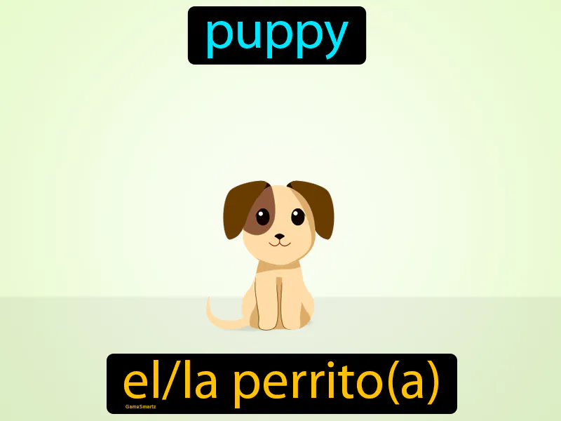 El Perrito Definition El Perrito Definition