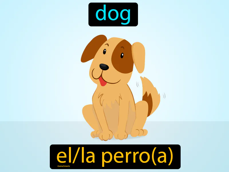 El Perro Definition El Perro Definition