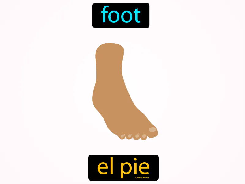 El Pie Definition El Pie Definition