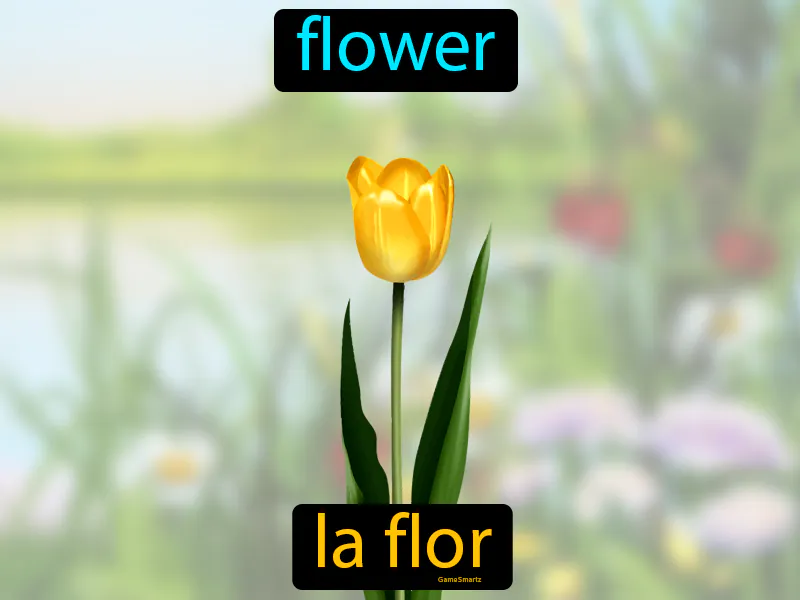 La Flor Definition La Flor Definition