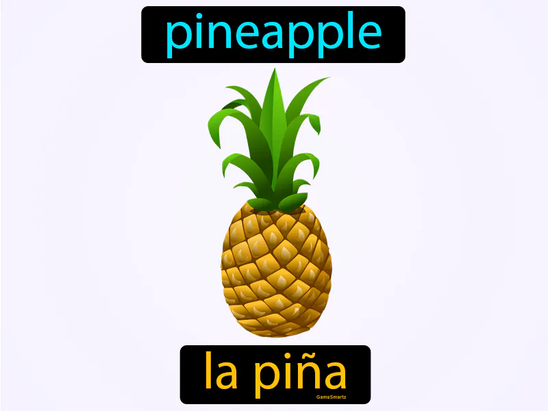 La Pina Definition La Pina Definition
