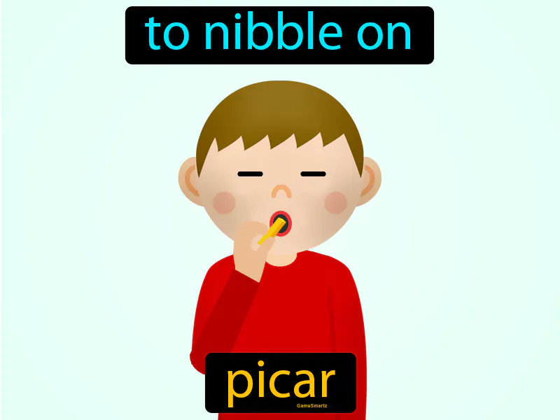 Picar Definition Picar Definition